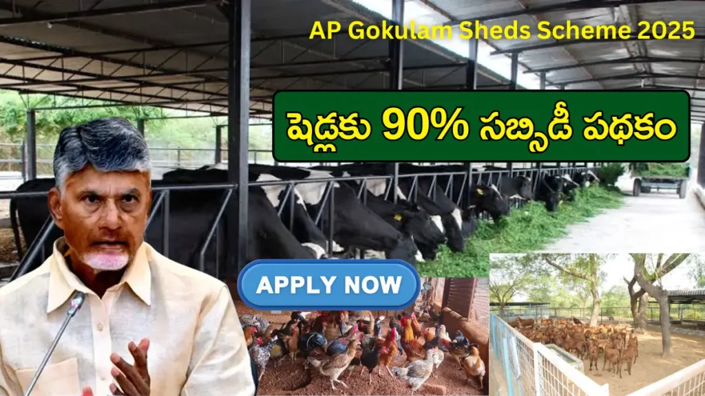 AP Gokulam Sheds Scheme